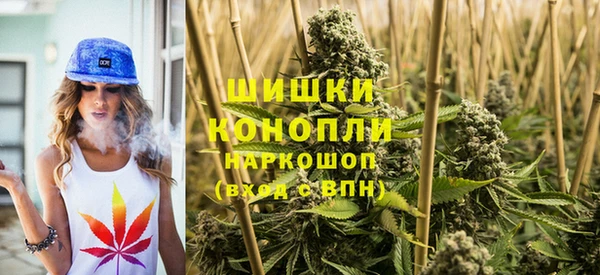 винт Аркадак